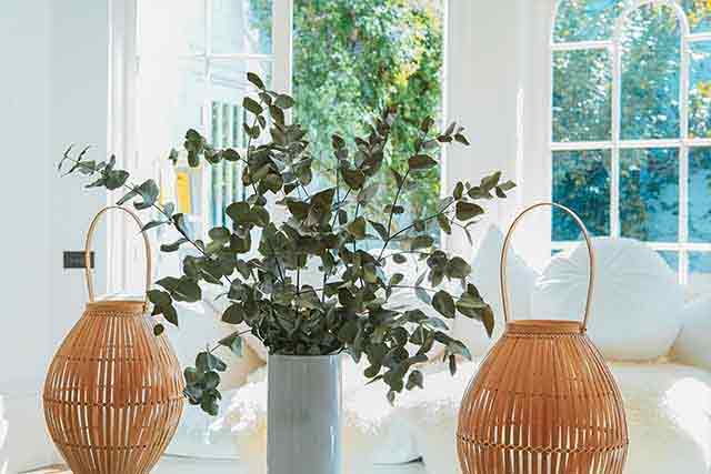 The Flourishing Flora- Exploring the Art of Indoor Plant Decoration